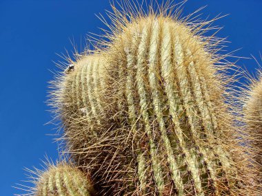 Arjantin, manzaralı Cachi manzaraları