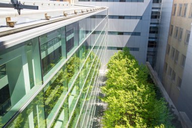 Toronto, Kanada-20 Ağustos 2019: Teknoloji yenilik merkezi, ofis içi