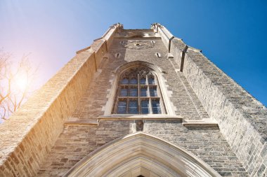 Eski Toronto Üniversitesi Kampüsü ve şehir merkezindeki binalar
