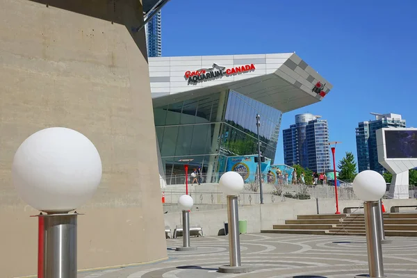 Toronto Kanada Juli 2019 Berühmter Eingang Zum Toronto Ripleys Aquarium — Stockfoto