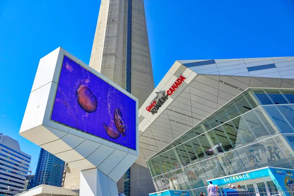 Toronto Canada Giugno 2018 Acquario Ripleys Nuova Costruzione Toronto Canada — Foto Stock