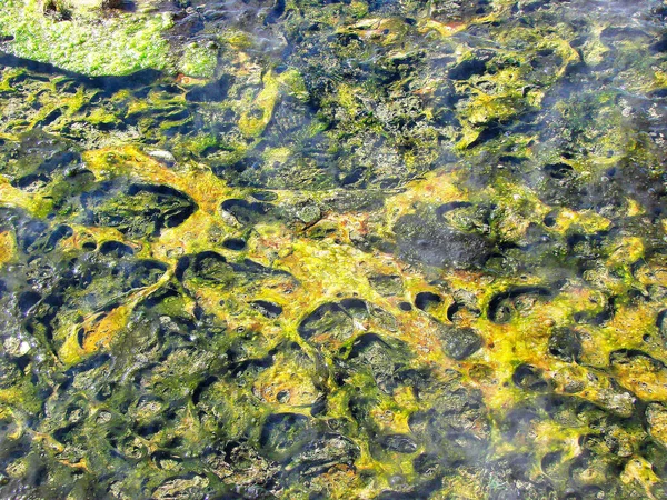 Βολιβία Salar Uyuni Aguas Calientes Γραφικές Λίμνες Και Τοπία — Φωτογραφία Αρχείου