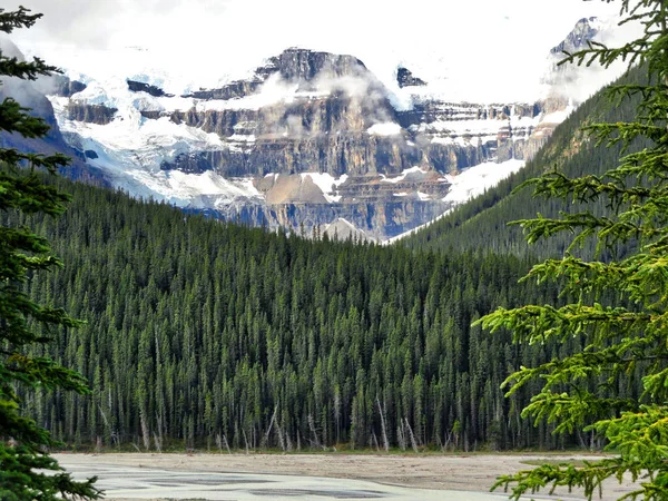 Canadian Rockies Saskatchewan Crossing Scenic Mountain Views Landscapes — стокове фото