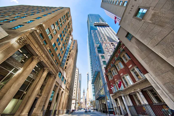 Toronto Ontario Kanada Juni 2019 Skyline Des Malerischen Finanzbezirks Toronto — Stockfoto