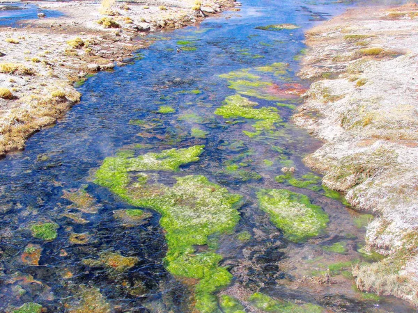 Bolivie Salar Uyuni Aguas Calientes Paysages Lacs Pittoresques — Photo