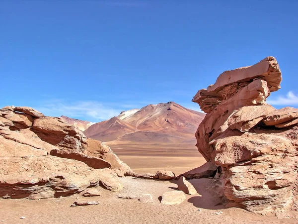 Bolivien Salar Uyuni Arbol Piedra Ausblicke Und Landschaften — Stockfoto