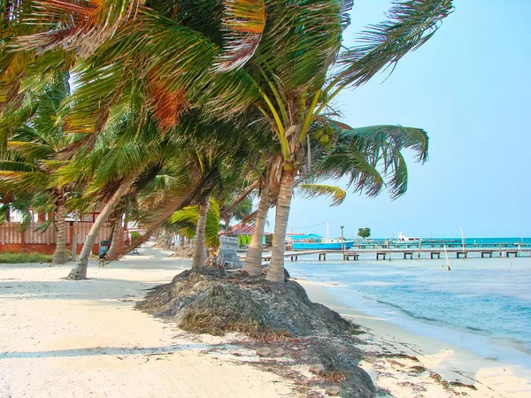 Belize Ulice Caye Caulker — Zdjęcie stockowe