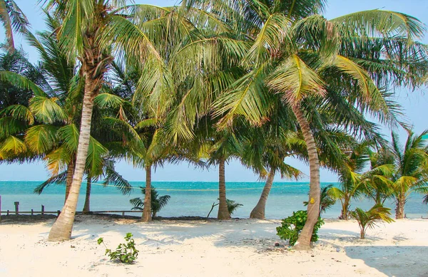 Belize Caye Caulker Dorp Mooie Stranden Oceaankust — Stockfoto