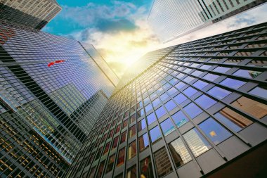 Toronto finans bölgesinin silüeti