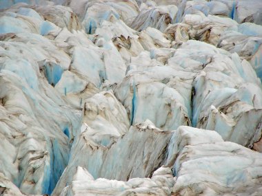 Arjantin, Bariloche yakınlarındaki Nahuel Huapi Ulusal Parkı 'nın manzarası.
