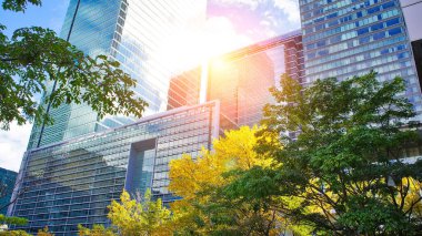 Toronto Finans Bölgesi Skyline