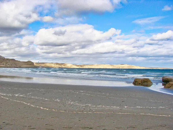 Puerto Madryn Valdes Peninsula Національний Парк Морський Заповідник Поблизу Пунта — стокове фото
