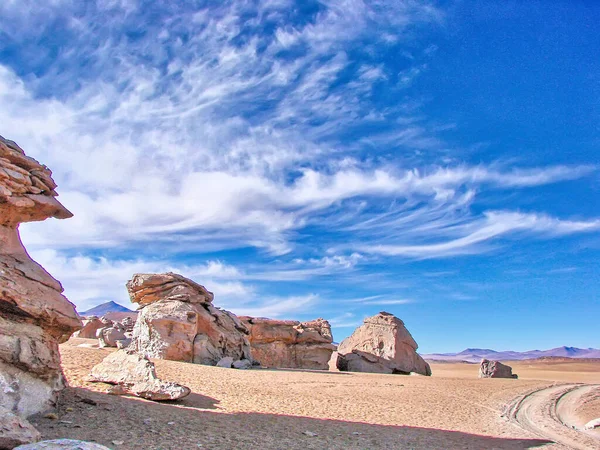 Bolivia Salar Uyuni Árbol Piedra Paisajes Vistas Panorámicas — Foto de Stock