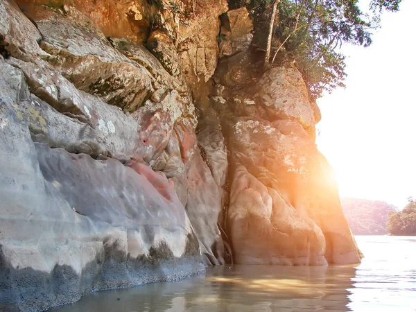 Bolivia Floden Beni Rio Beni Natursköna Landskap — Stockfoto