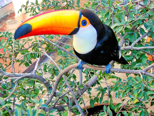 Santa Cruz Biocentro Gumbe Centre Bio Guembe — Photo