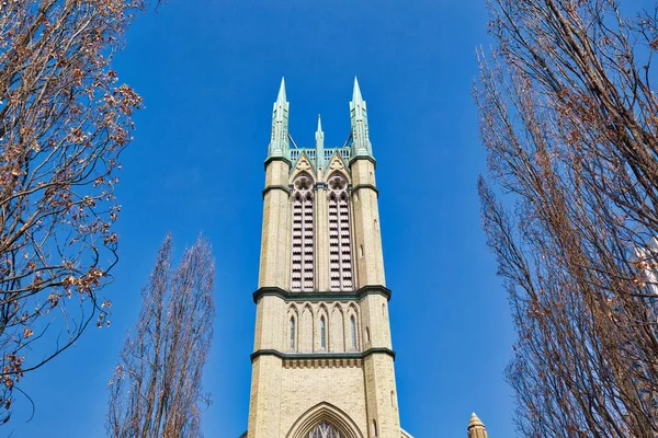Gereja Metropolitan Toronto United Salah Satu Gereja Terbesar Dan Paling — Stok Foto