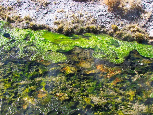 Bolívia Salar Uyuni Aguas Calientes Festői Tavak Tájak — Stock Fotó