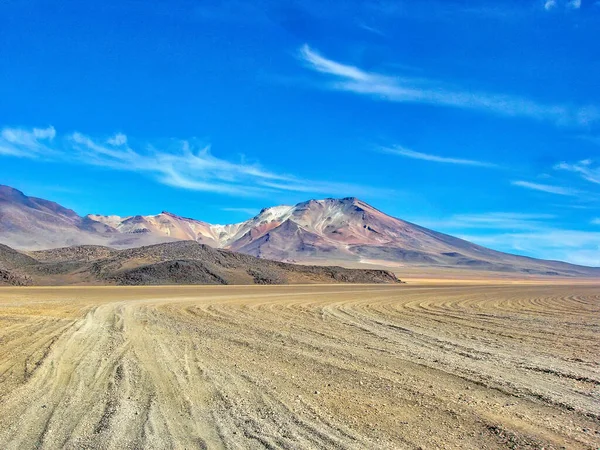 Bolivia Salar Uyuni Arbol Piedra Vedute Panoramiche Paesaggi — Foto Stock