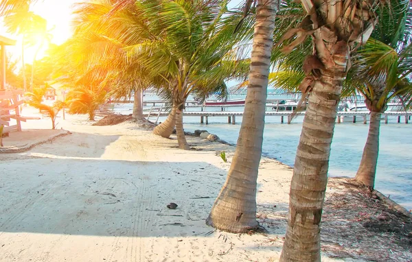 Belize Caye Caulker Dorp Mooie Stranden Oceaankust — Stockfoto