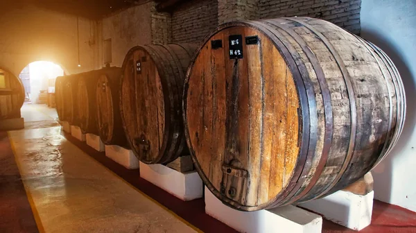 Słynne Winnice Cafayate Wycieczki Wina Północnej Argentynie — Zdjęcie stockowe