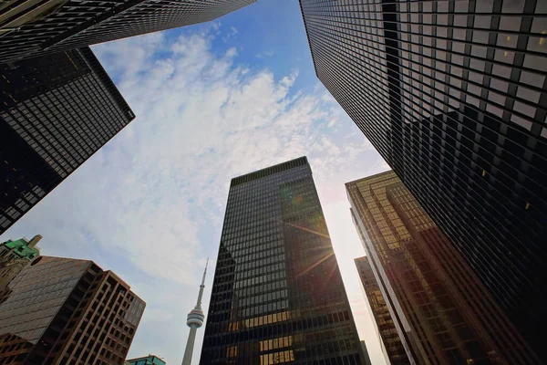 Skyline Финансового Района Торонто — стоковое фото