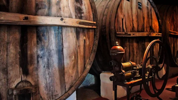 Slavné Cafayate Vinařství Vinařské Zájezdy Severní Argentině — Stock fotografie