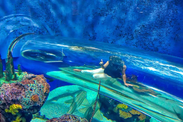 Toronto Canada July 2018 Toronto Ripleys Aquarium Underwater Scenic Tunnels — Stock Photo, Image