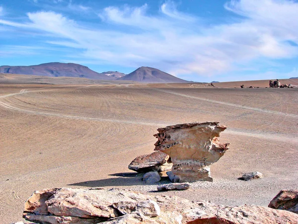 Bolivie Salar Uyuni Arbol Piedra Vues Panoramiques Paysages — Photo