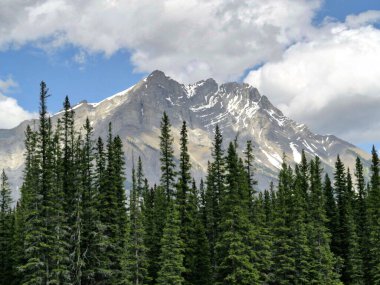 Banff, Alberta 'da Bow River manzaralı manzaralar