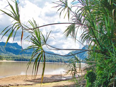 Bolivya, River Beni (Rio Beni) Manzaraları