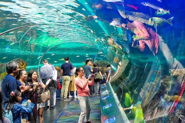 Toronto Canada July 2018 Toronto Ripleys Aquarium Underwater Scenic Tunnels — Stock Photo, Image