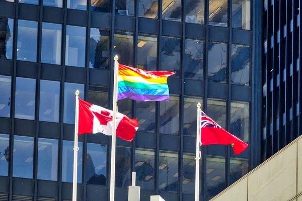 Obchody Praw Gejów Osób Lgbtq Wystawie Toronto Centrum Kanady — Zdjęcie stockowe