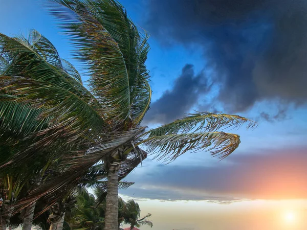 Kasırga Gelmeden Önce Karayip Gökyüzü — Stok fotoğraf