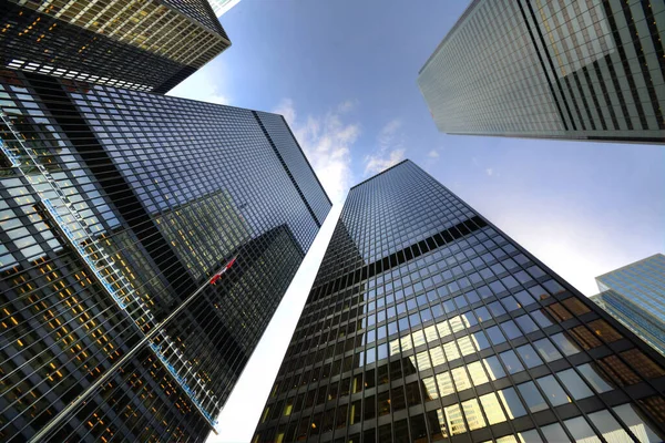 Toronto Panorama Finanční Čtvrti — Stock fotografie