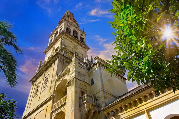 Mezquita Cathedral Cordoba Spain — Stock Photo, Image