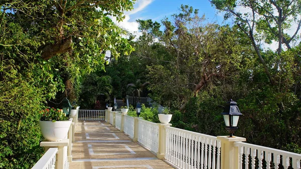 Isla Levantado Blick Von Einer Terrasse — Stockfoto