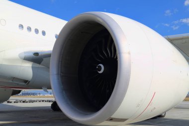 Yolcuları bekliyor, Roma, İtalya