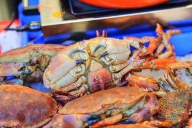 Las Ramblas 'taki Barselona Katedrali yakınlarındaki ünlü sokak pazarı.