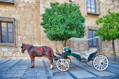 İspanya, Cordoba 'daki Mezquita Katedrali yakınlarında turistleri bekleyen at arabası.