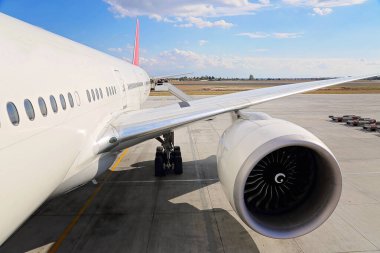 Yolcuları bekliyor, Roma, İtalya