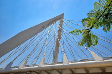 Guadalajara, Meksika, Matute Remus Köprüsü