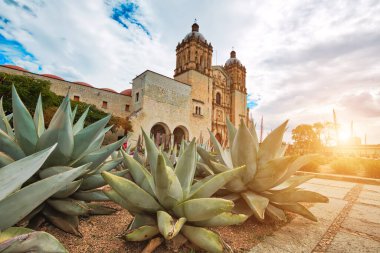 Tarihi Oaxaca şehir merkezindeki Santo Domingo Katedrali