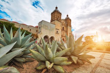 Landmark Santo Domingo Cathedral in historic Oaxaca city center clipart
