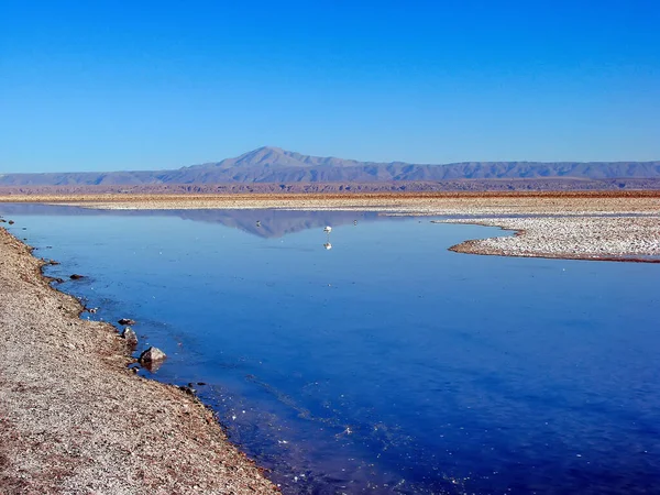 Ansichten Und Landschaften Der Atacama Wüste — Stockfoto