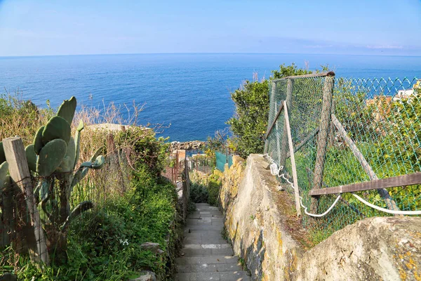 Italië Scenic Riomaggiore Kleurrijke Straten — Stockfoto