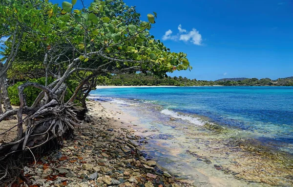 Saphire Beach Charlotte Amalie Amerikaanse Maagdeneilanden — Stockfoto