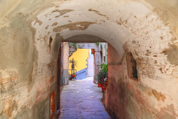 Italie Riomaggiore Rues Colorées — Photo