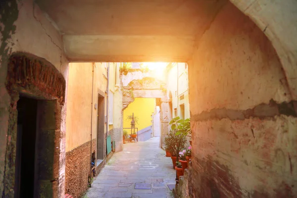 リオマジョーレカラフルな通り イタリアの景色 — ストック写真