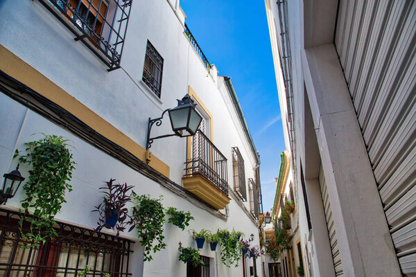 Cordoba streets on a sunny day in historic city center
