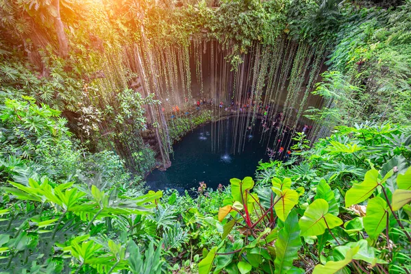 Kil Cenote Localizado Centro Norte Península Yucatan Uma Parte Parque — Fotografia de Stock